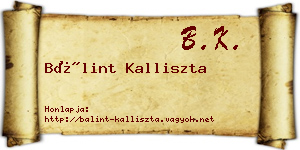 Bálint Kalliszta névjegykártya