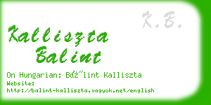 kalliszta balint business card